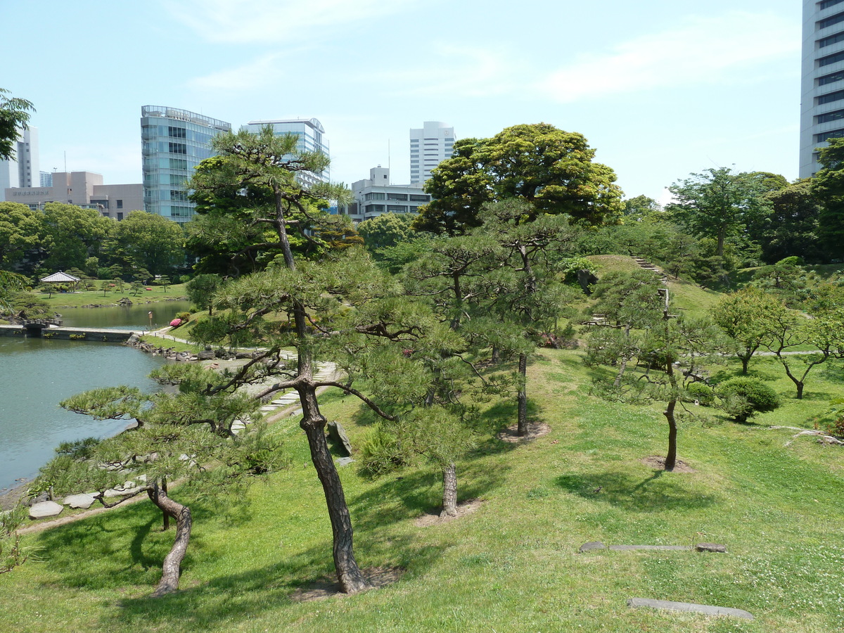 รูปถ่าย ญี่ปุ่น(Japan) โตเกียว(Tokyo) สวนคิวชิบะริคิว(Kyu Shiba rikyu Gardens) 2010-06 62