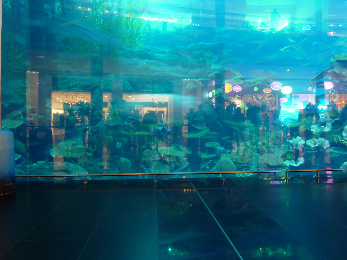 รูปถ่าย สหรัฐอาหรับเอมิเรตส์(United Arab Emirates) ดูไบ(Dubai) ดูไบมอลล์(The Dubai Mall) 2009-12 68