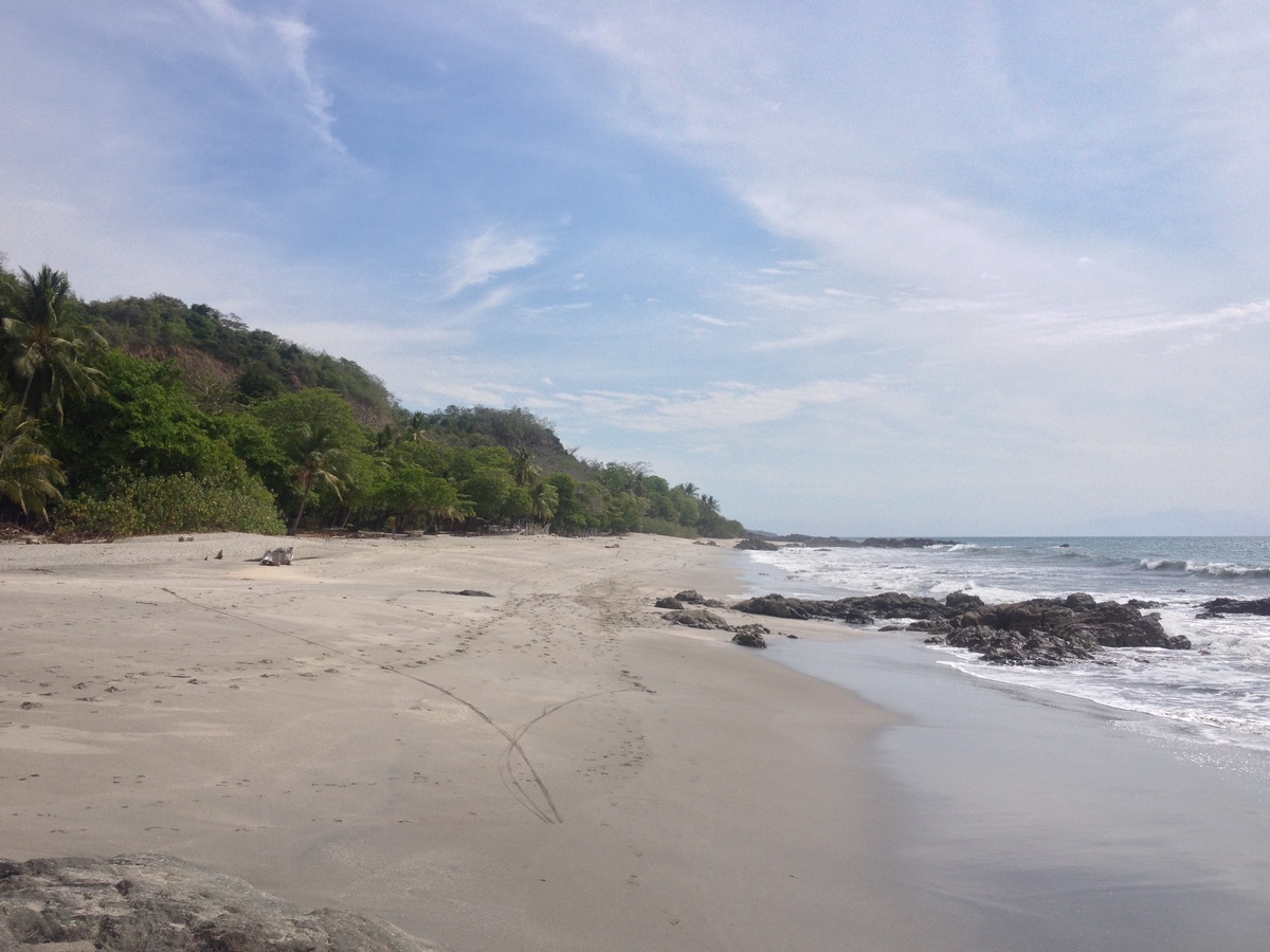 รูปถ่าย คอสตาริกา(Costa Rica) มอนเตซูมา(Montezuma) 2015-03 512