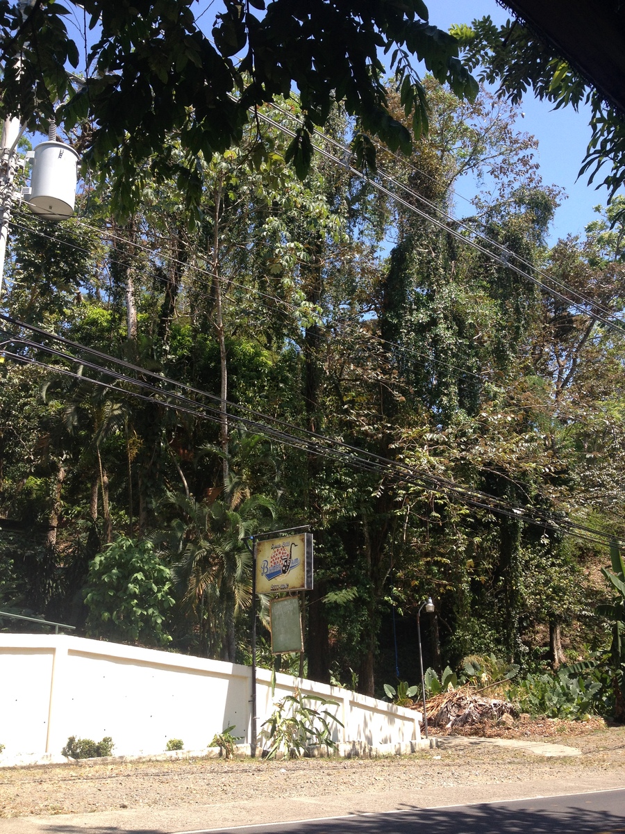 รูปถ่าย คอสตาริกา(Costa Rica) มานวยล์อันโตนีโอ(Manuel Antonio) 2015-03 2