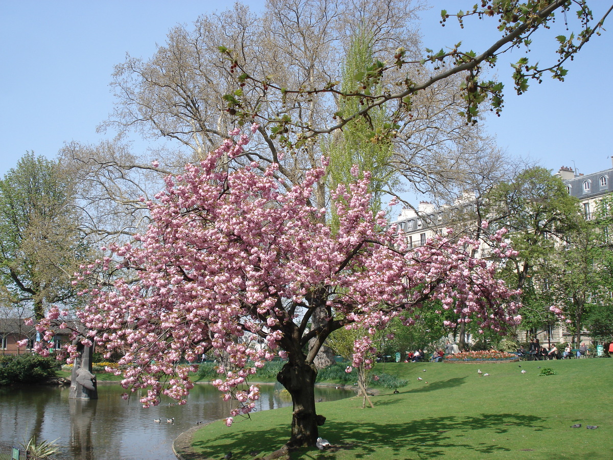 รูปถ่าย ฝรั่งเศส(France) ปารีส(Paris) สวนบาตีญอล(Square des Batignolles) 2006-04 2
