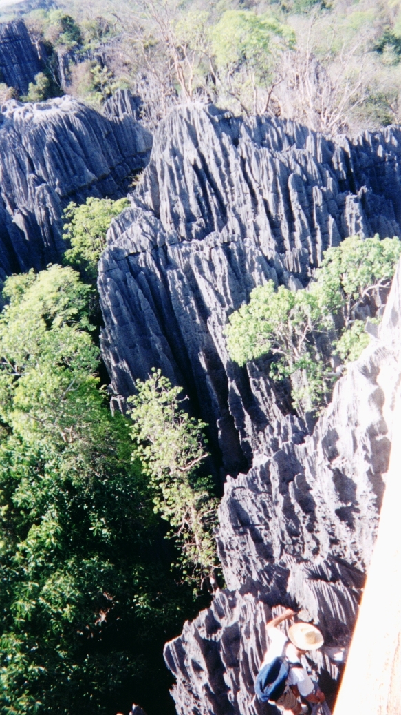 รูปถ่าย มาดากัสการ์(Madagascar) ทีซินกี(Tsingy) 1999-10 22