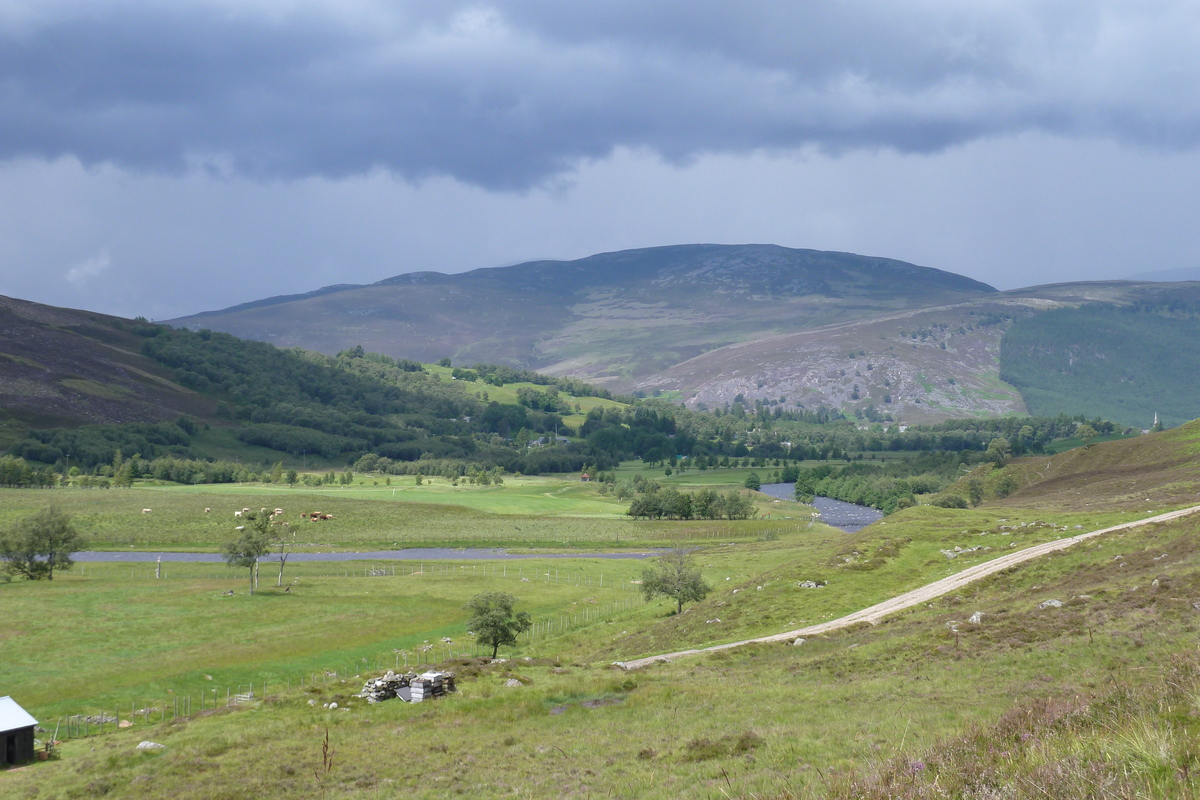 รูปถ่าย อังกฤษ(United Kingdom) อุทยานแห่งชาติแคร์นกอร์มส์(Cairngorms National Park) 2011-07 83