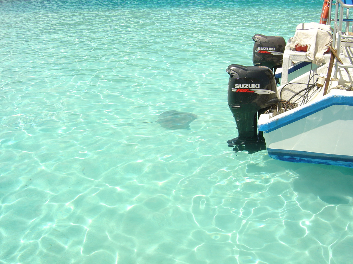 รูปถ่าย เฟรนช์โพลี่นีเซีย(Polynesia) มูเรีย(Moorea) 2006-04 108