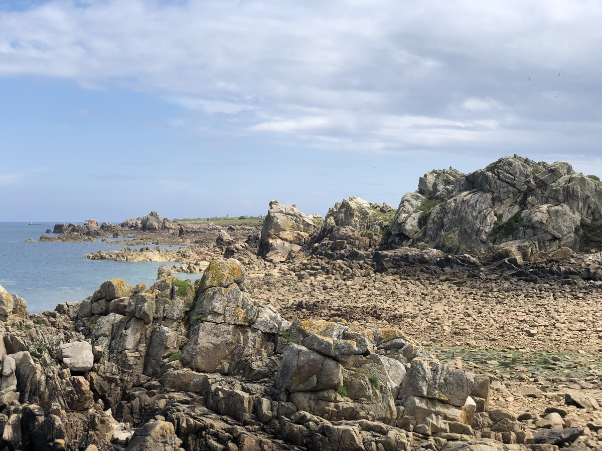 รูปถ่าย ฝรั่งเศส(France) เกาะเบรอา(Brehat Island) 2020-06 131
