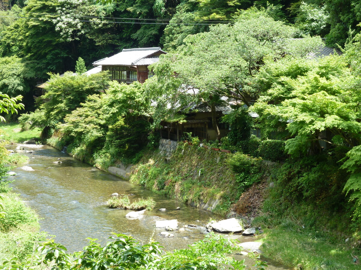 รูปถ่าย ญี่ปุ่น(Japan) เกียวโต(Kyoto) สถานียาเซะฮิเอซังงุจิ(Yase Hieizanguchi Station) 2010-06 35