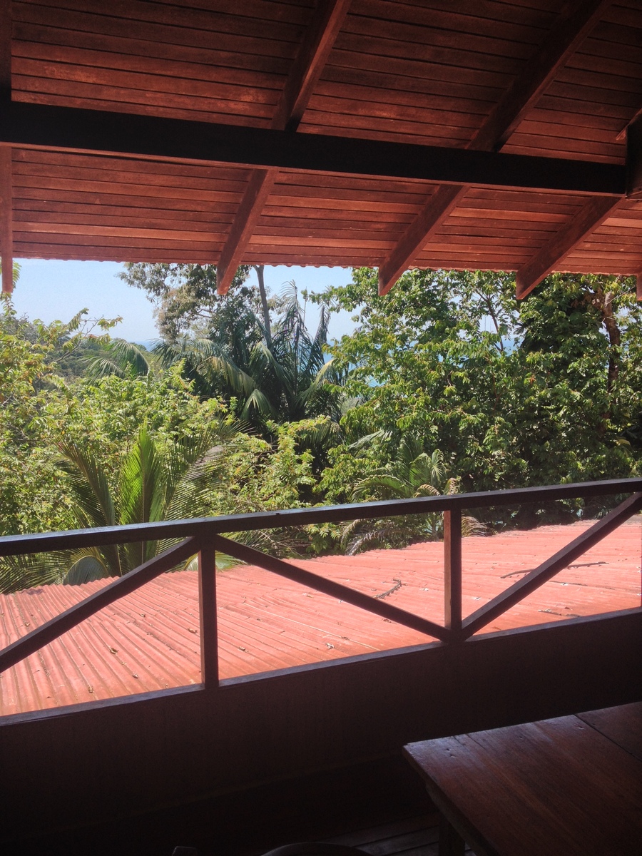 รูปถ่าย คอสตาริกา(Costa Rica) มานวยล์อันโตนีโอ(Manuel Antonio) 2015-03 35