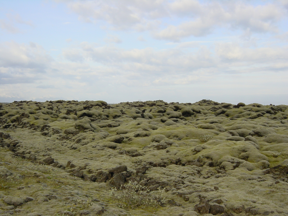รูปถ่าย ไอซ์แลนด์(Iceland) ถนนหมายเลข 1 จากโยกุลซาร์เลานไปวีก(Road 1 Jokulsarlon to vik) 2003-06 20