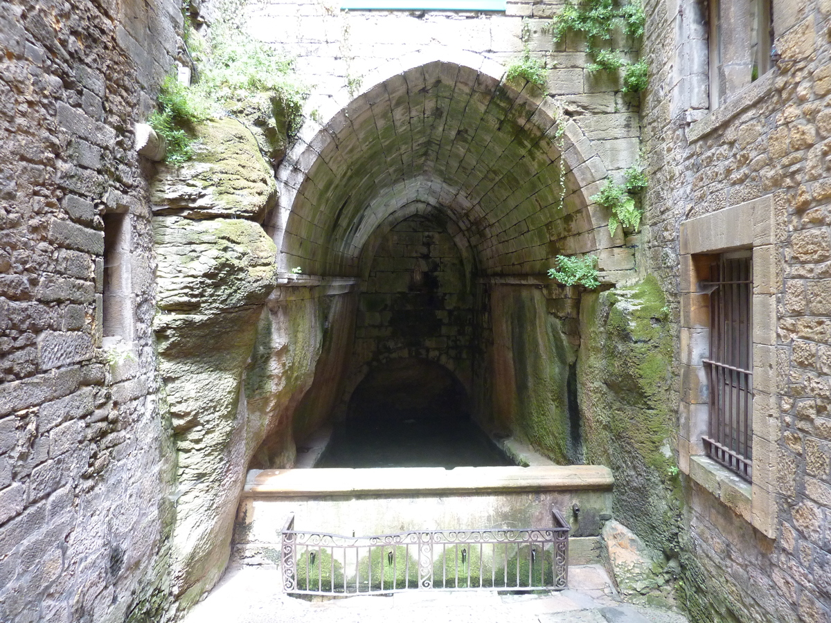 รูปถ่าย ฝรั่งเศส(France) ซาร์ลา-ลา-กาเนดา(Sarlat la Caneda) 2009-07 104