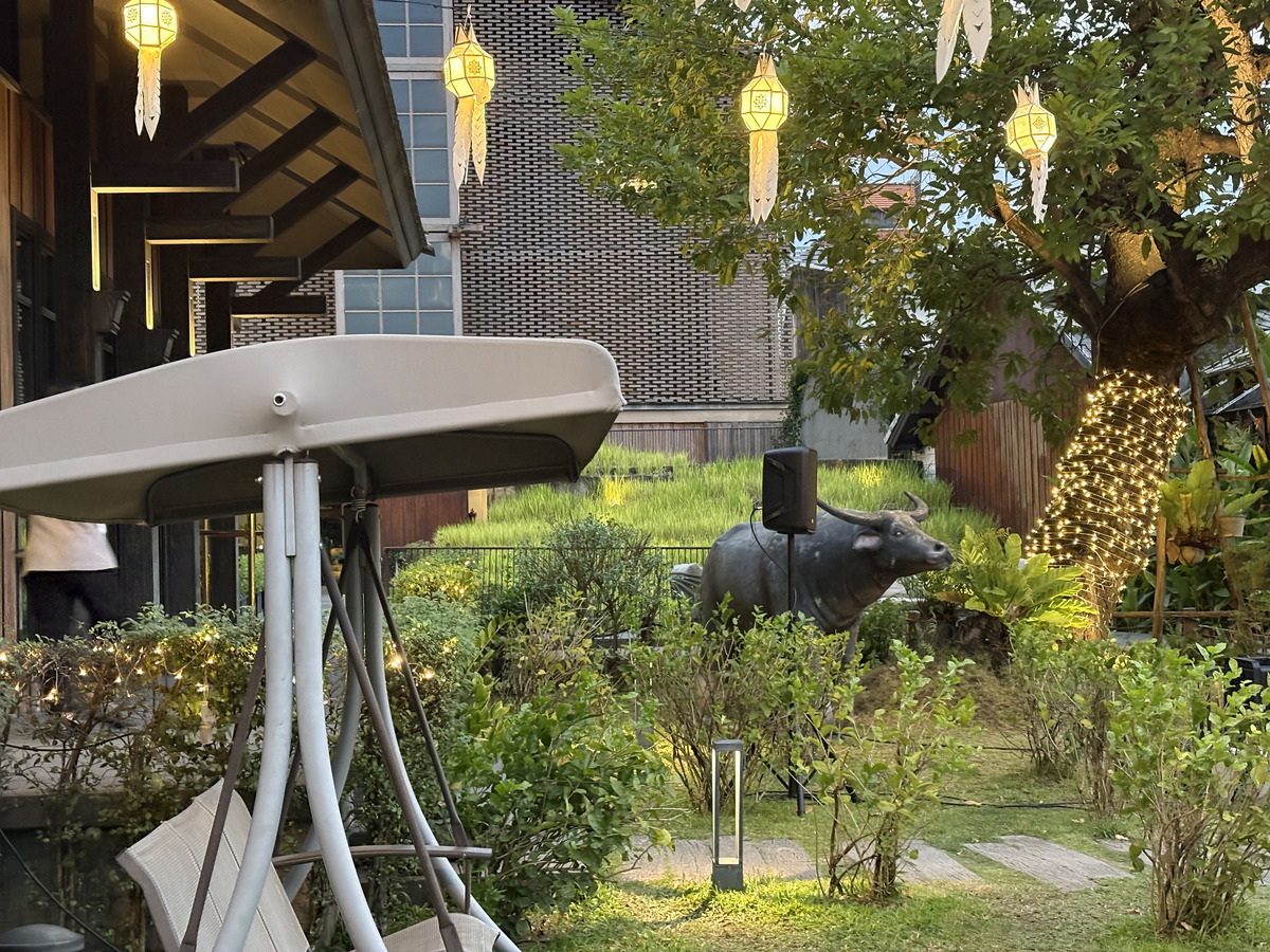 รูปถ่าย ไทย(Thailand) เชียงใหม่(Chiang Mai) 2024-12 62