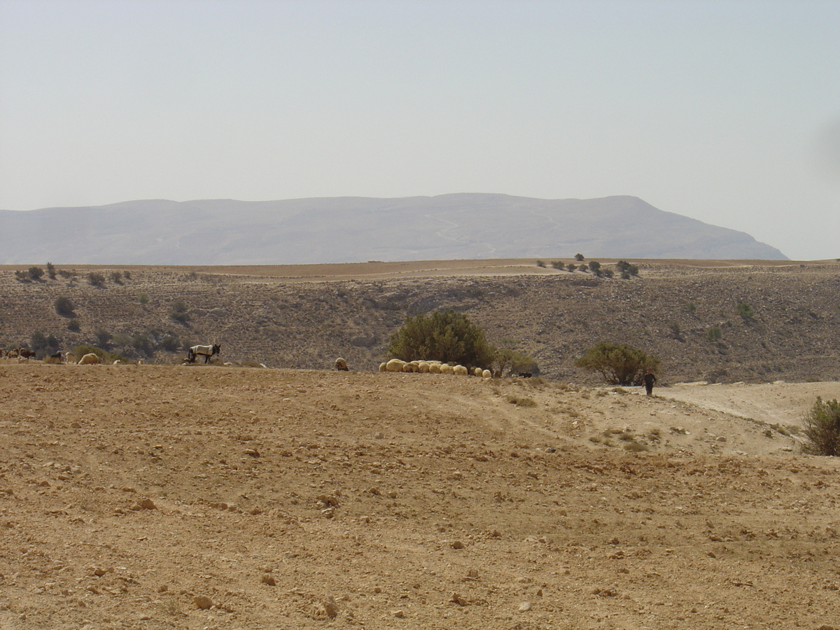 รูปถ่าย จอร์แดน(Jordan) ถนนจากเปตราไปดานา(Petra to Dana road) 2004-10 6