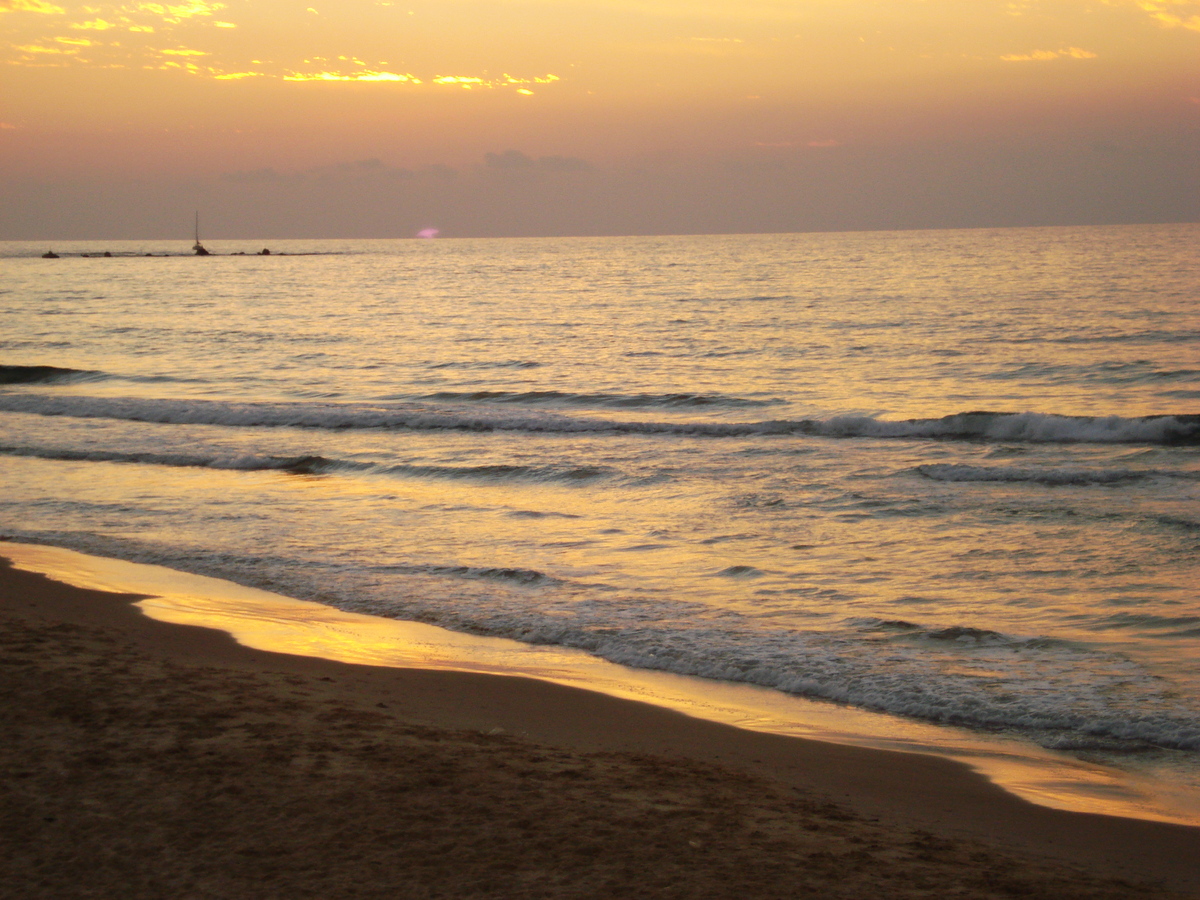รูปถ่าย อิสราเอล(Israel) เทลอาวีฟ(Tel Aviv) ชายหาดเทลอาวีฟ(Tel Aviv Sea Shore) 2006-12 293