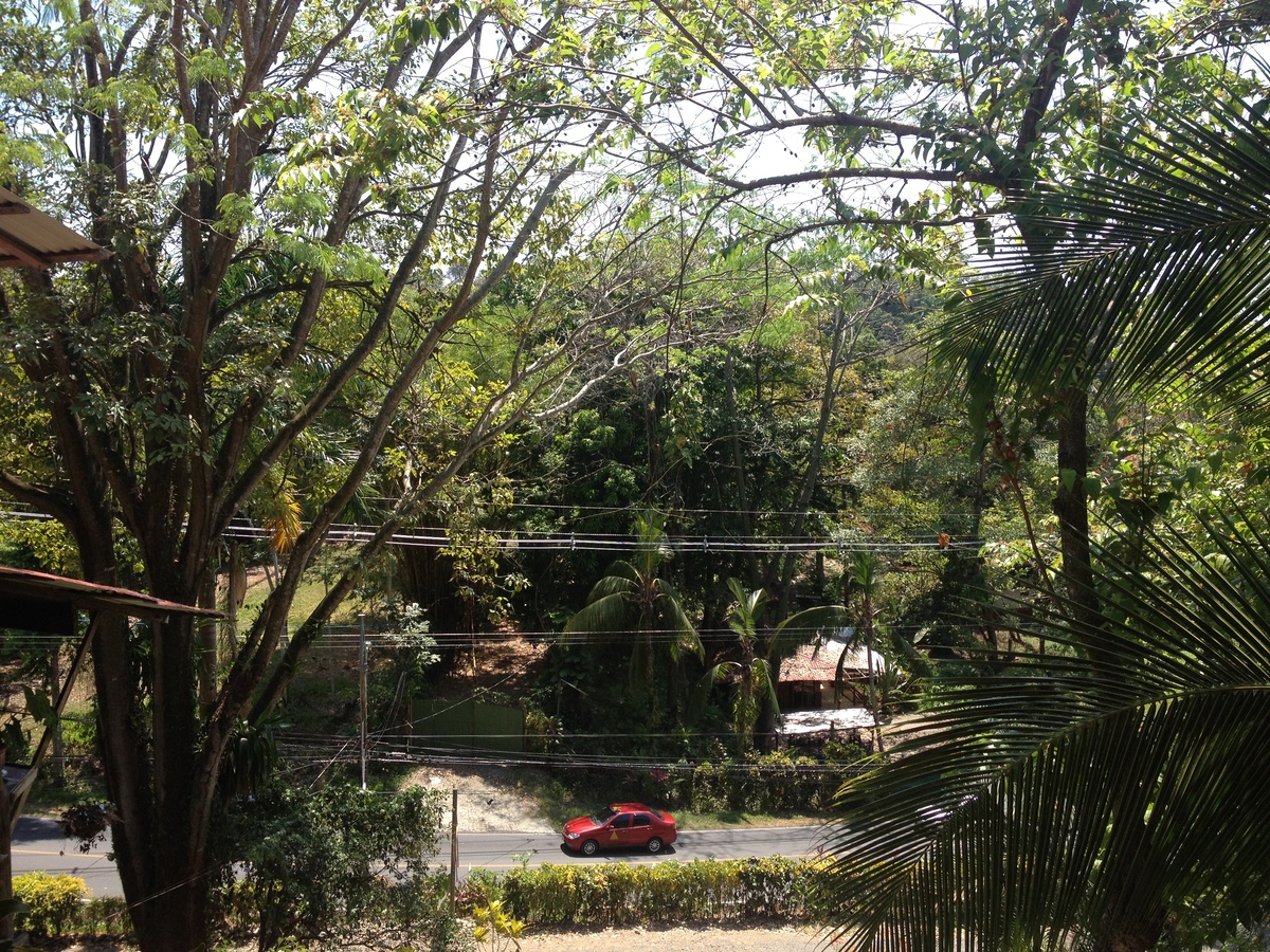 รูปถ่าย คอสตาริกา(Costa Rica) มานวยล์อันโตนีโอ(Manuel Antonio) 2015-03 399