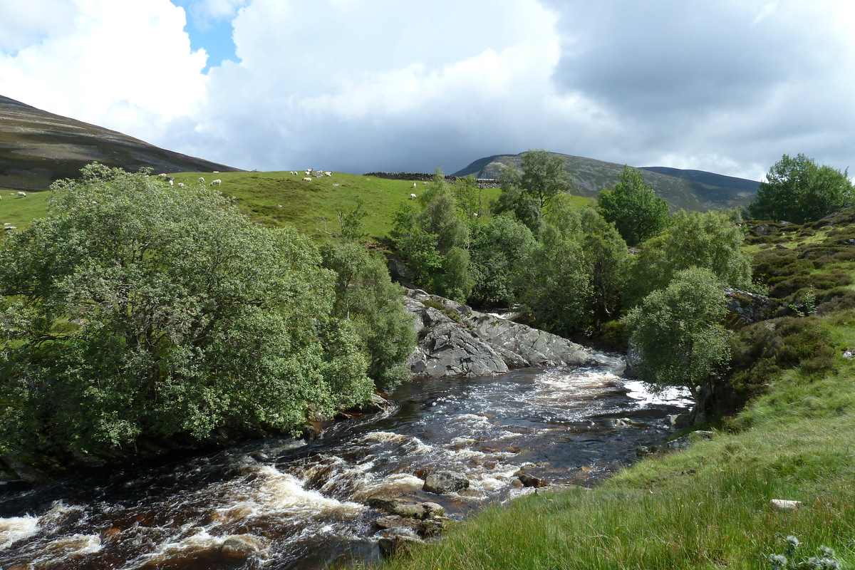 รูปถ่าย อังกฤษ(United Kingdom) อุทยานแห่งชาติแคร์นกอร์มส์(Cairngorms National Park) 2011-07 54