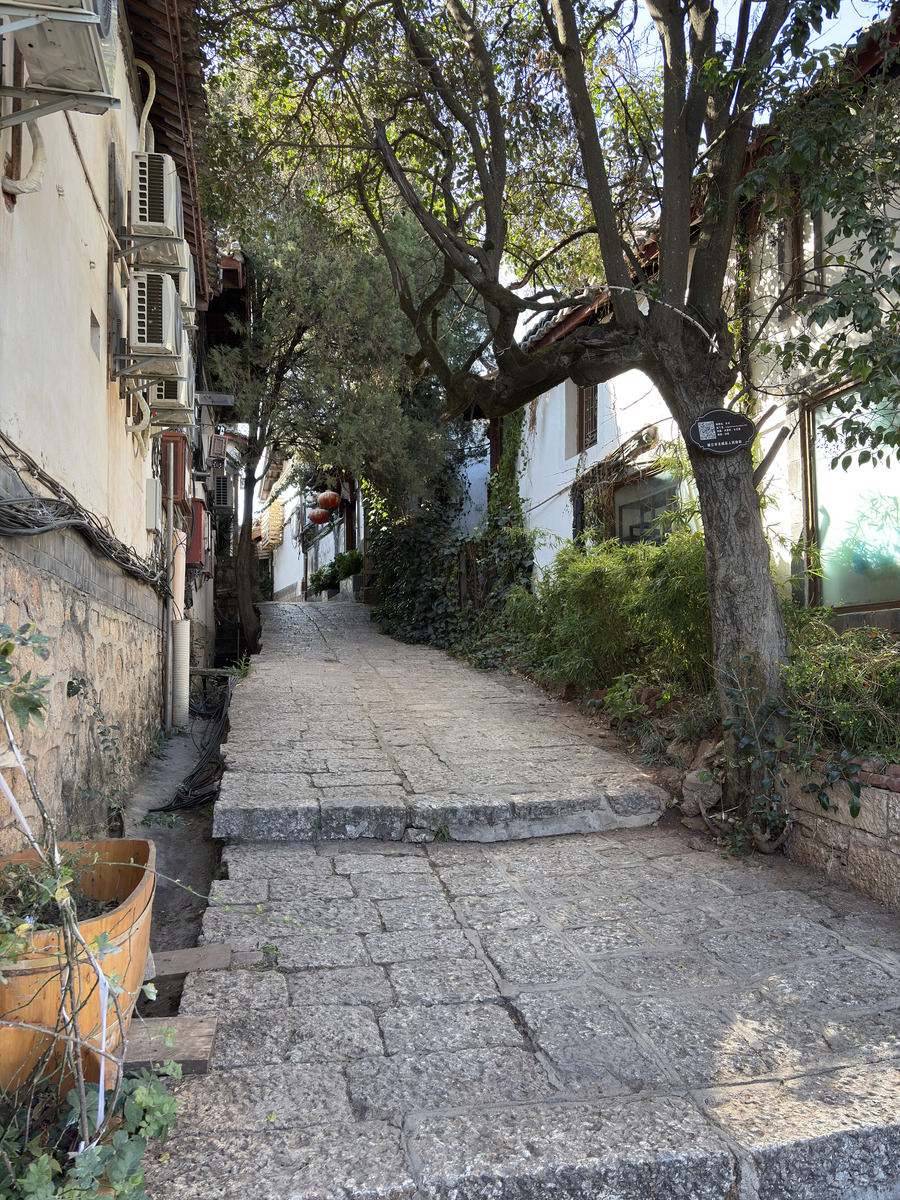 รูปถ่าย จีน(China) ลี่เจียง(Lijiang) 2026-01 522