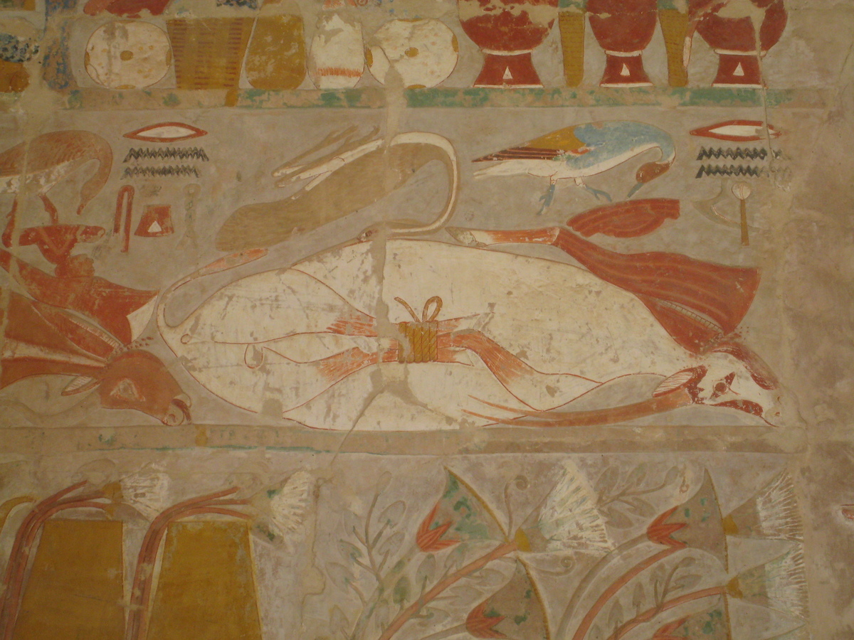 รูปถ่าย อียิปต์(Egypt) ลูซอร์(Luxor) 2007-04 63