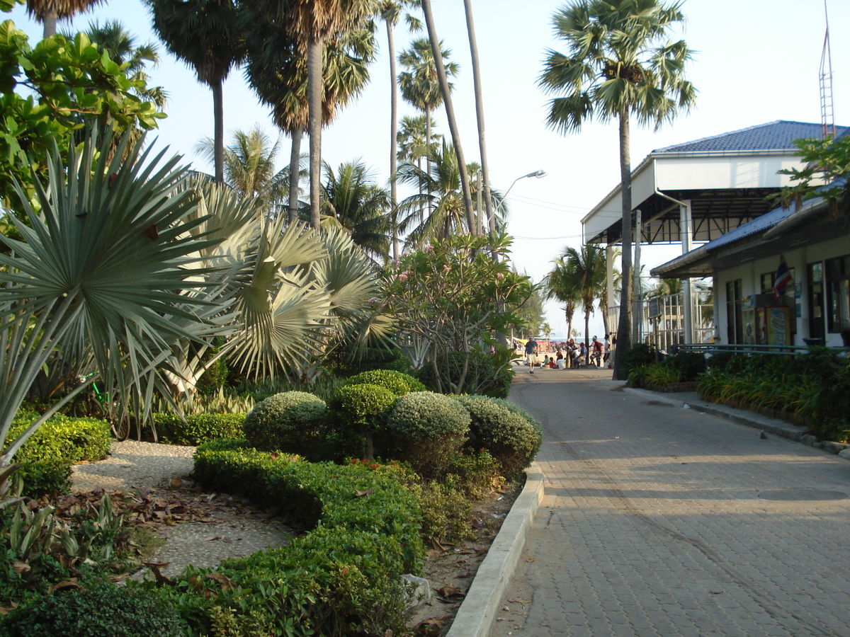 รูปถ่าย ไทย(Thailand) พัทยา(Pattaya) หาดดงตาล(Dongtan beach) 2008-01 4