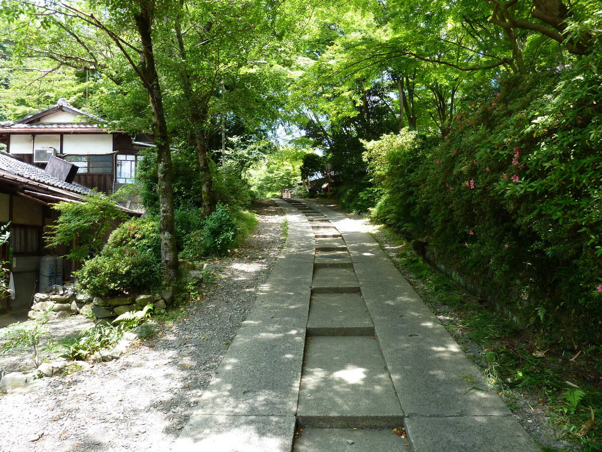 รูปถ่าย ญี่ปุ่น(Japan) เกียวโต(Kyoto) สถานียาเซะฮิเอซังงุจิ(Yase Hieizanguchi Station) 2010-06 1