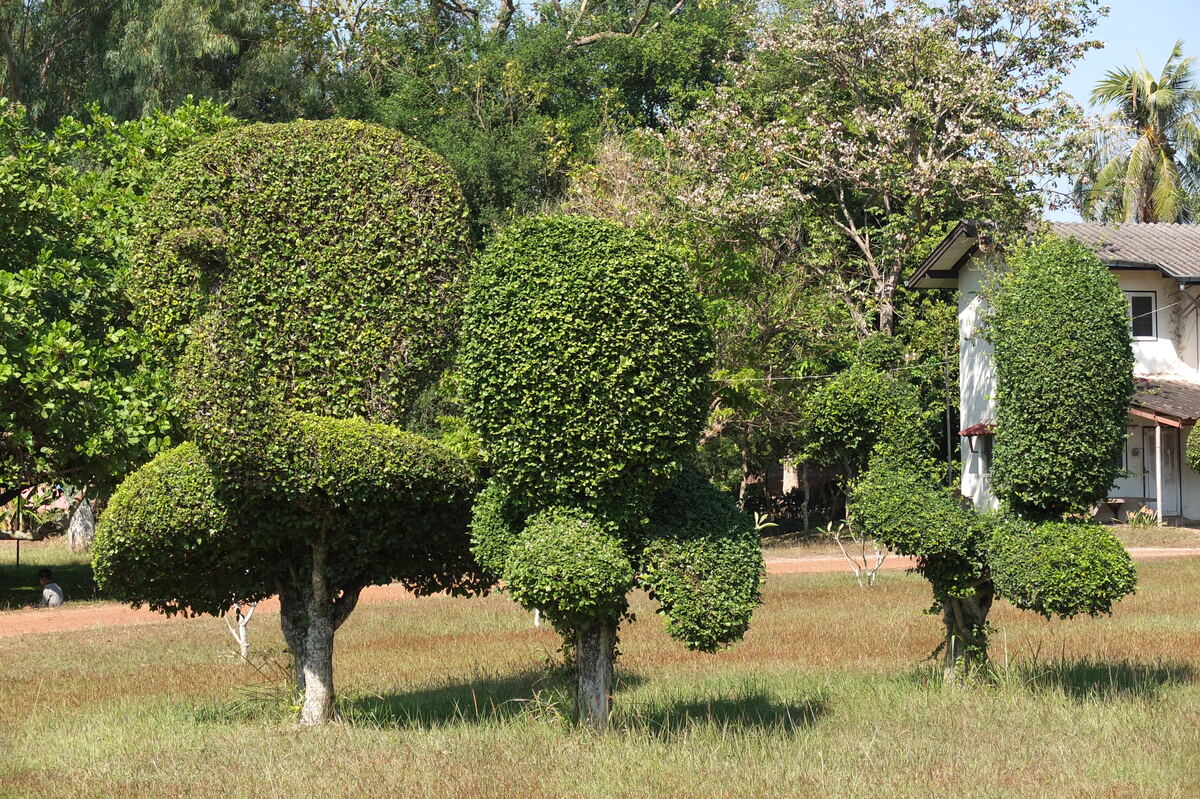 รูปถ่าย ไทย(Thailand) แม่น้ำโขง(Mekong river) 2012-12 130