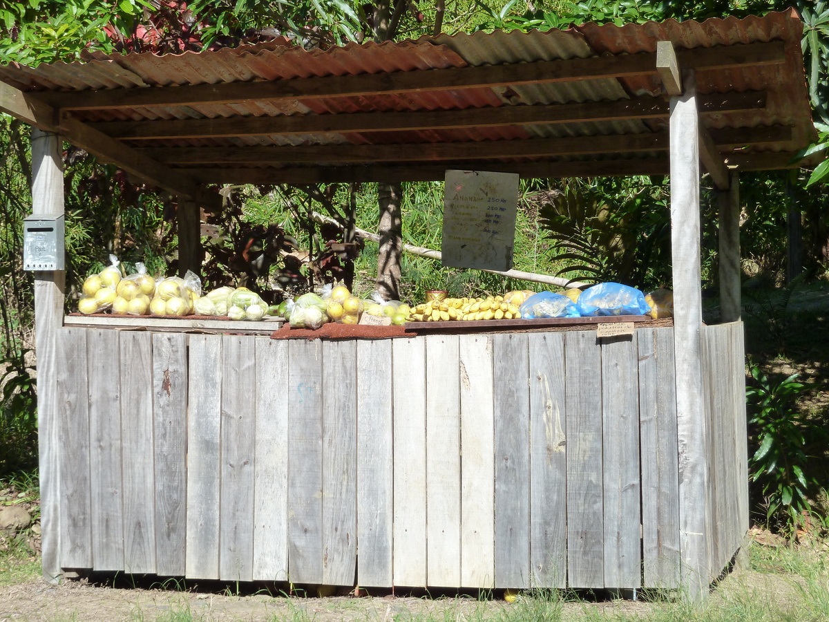 รูปถ่าย นิวแคลิโดเนีย(New Caledonia) ถนนจากกานาลาไปลาฟัว(Canala to La Foa road) 2010-05 41