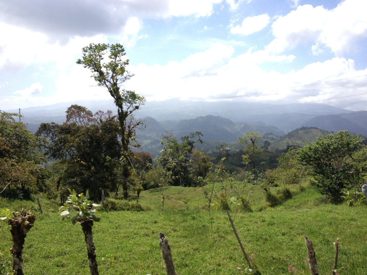 รูปถ่าย คอสตาริกา(Costa Rica) ตูร์รีอัลบา(Turrialba) 2015-03 26