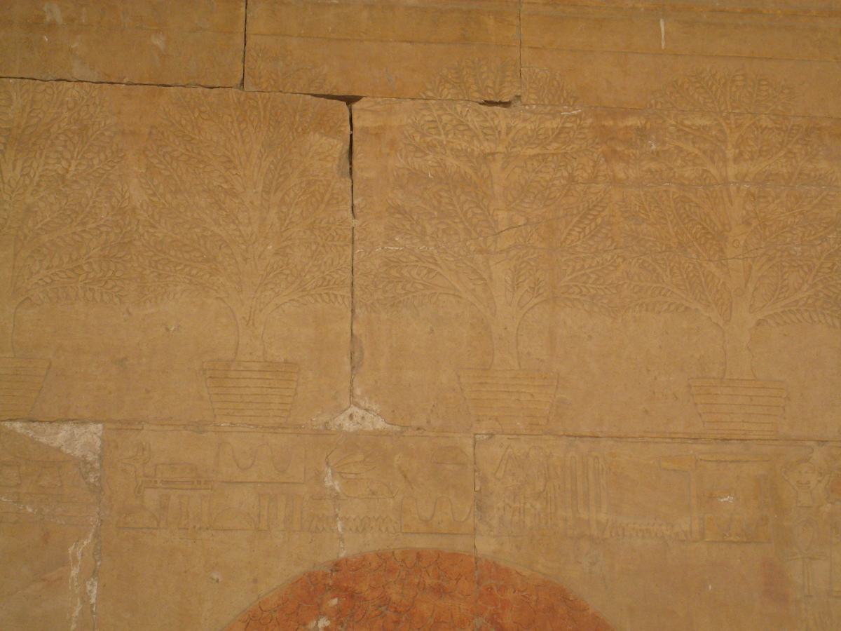 รูปถ่าย อียิปต์(Egypt) ลูซอร์(Luxor) 2007-04 67