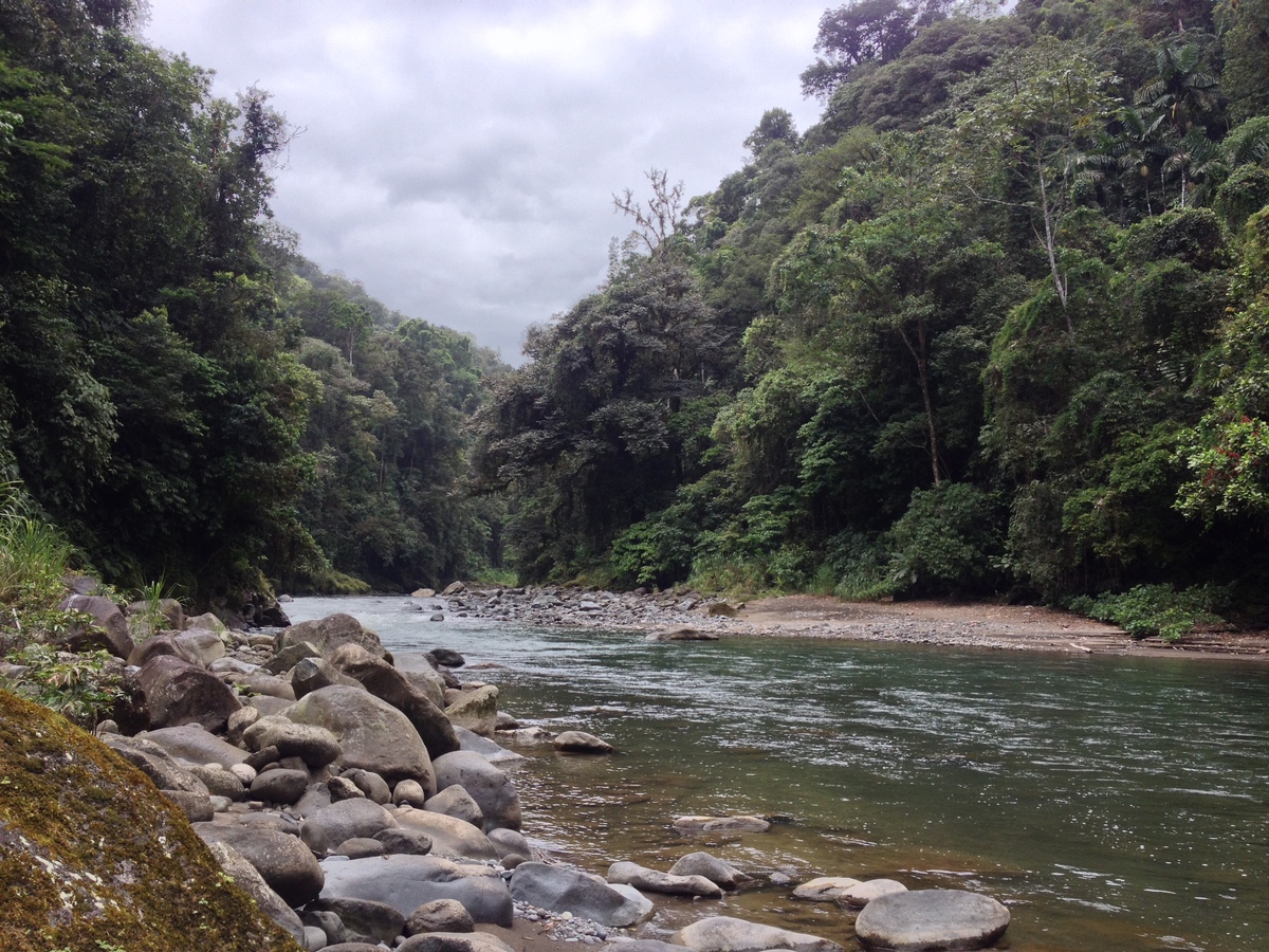 รูปถ่าย คอสตาริกา(Costa Rica) แม่น้ำปากัวเร(Pacuare River) 2015-03 53
