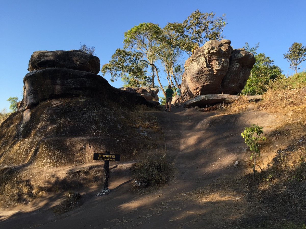 รูปถ่าย ไทย(Thailand) อุทยานแห่งชาติภูหินร่องกล้า(Phu Hin Rong Kla National Park) 2014-12 283