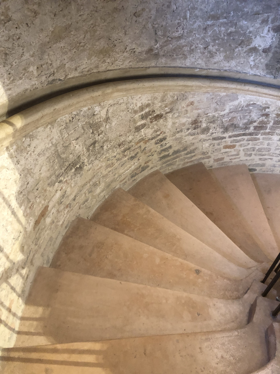 รูปถ่าย อิตาลี(Italy) อูร์บีโน(Urbino) 2024-09 257