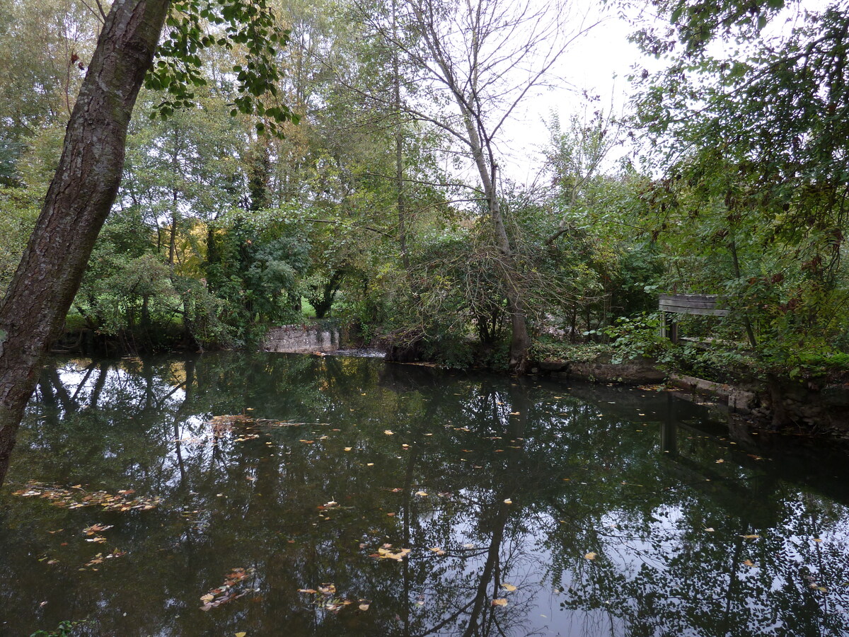 รูปถ่าย ฝรั่งเศส(France) อาญีแยร์-ซูร์-แวกร์(Asnieres sur Vegre) 2010-11 41