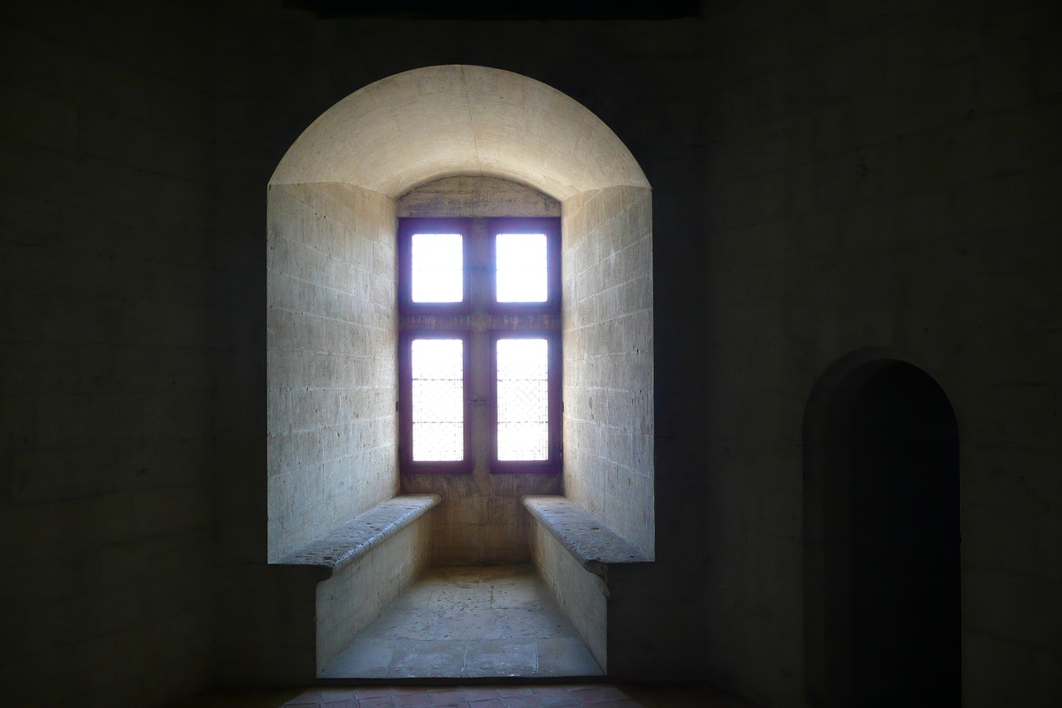 รูปถ่าย ฝรั่งเศส(France) ตาราสกง(Tarascon) ปราสาทตาราสกง(Tarascon Castle) 2008-04 145