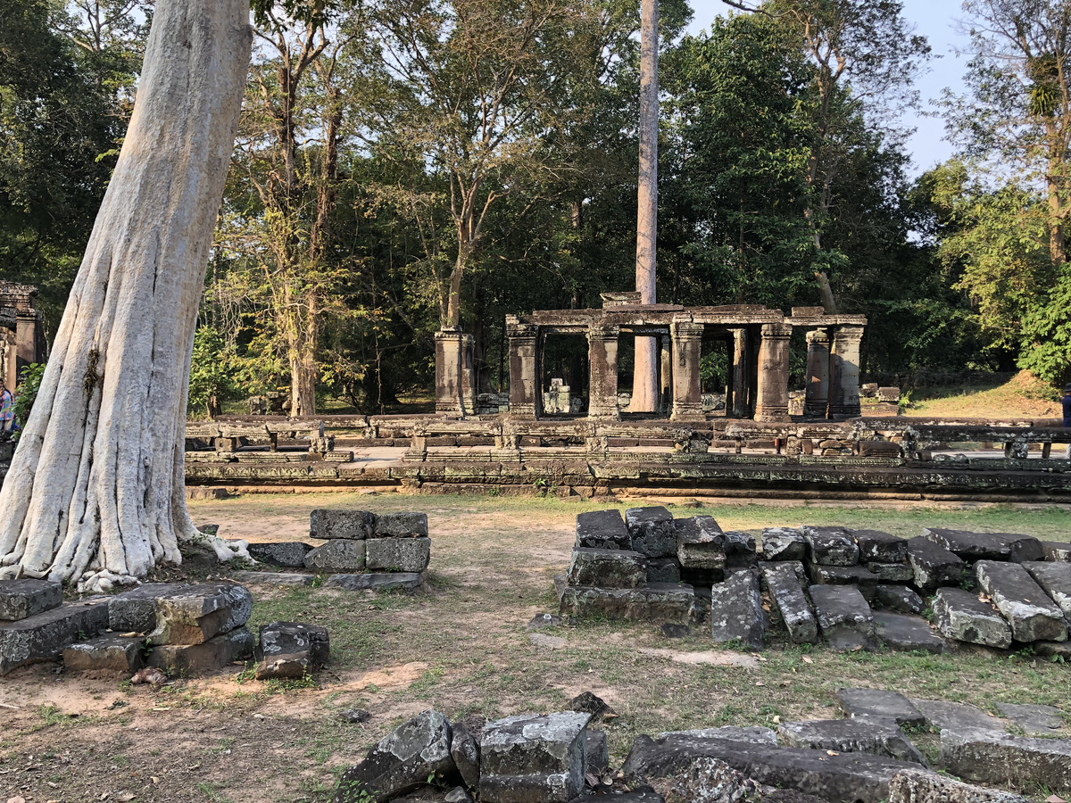 รูปถ่าย กัมพูชา(Cambodia) เสียมราฐ(Siem Reap) ปราสาทบันทายกุฎี(Banteay Kdei) 2023-01 8