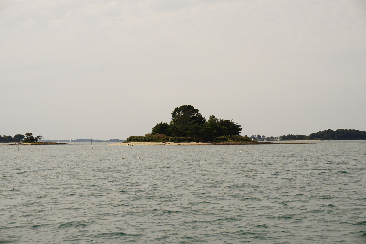 รูปถ่าย ฝรั่งเศส(France) อ่าวมอร์บีอ็อง(Golfe du Morbihan) 2016-08 64