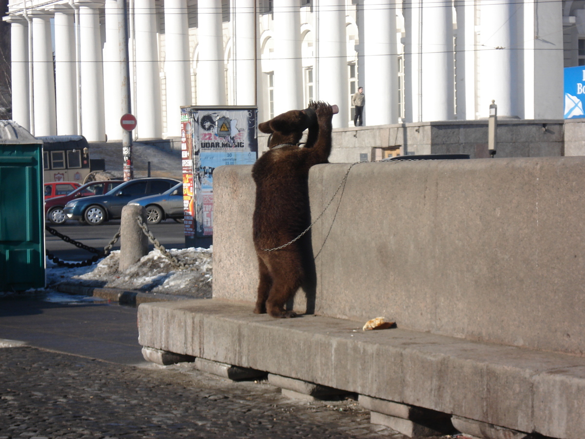 รูปถ่าย รัสเซีย(Russia) เซนต์ปีเตอร์สเบิร์ก(St Petersburg) 2006-03 134