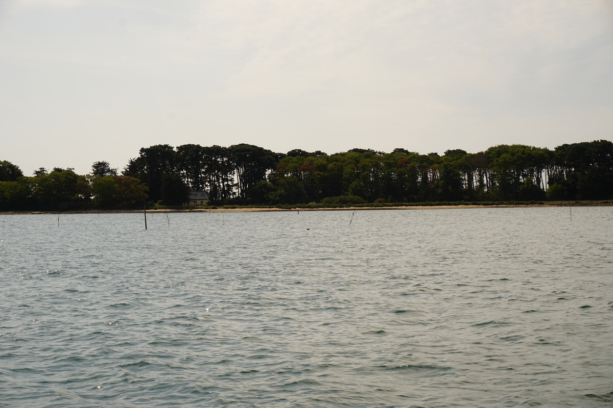 รูปถ่าย ฝรั่งเศส(France) อ่าวมอร์บีอ็อง(Golfe du Morbihan) 2016-08 71