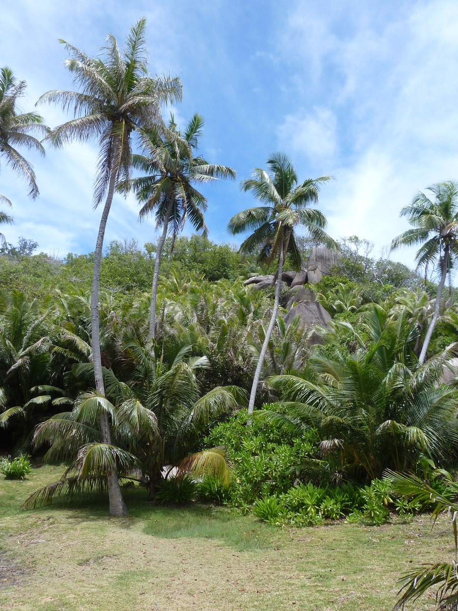 รูปถ่าย เซเชลส์(Seychelles) เกาะกร็องด์เซอร์(Grande Soeur) 2011-10 5
