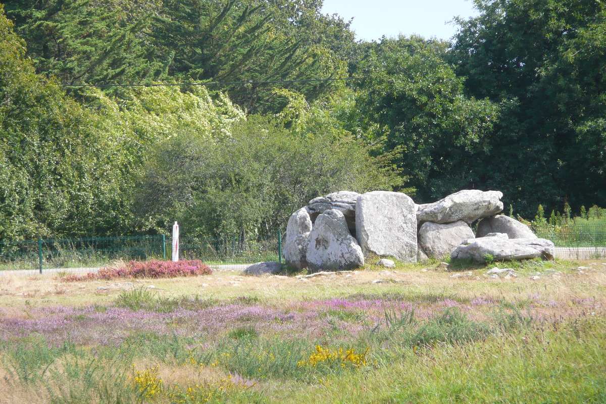 รูปถ่าย ฝรั่งเศส(France) การ์นัก(Carnac) 2008-07 10