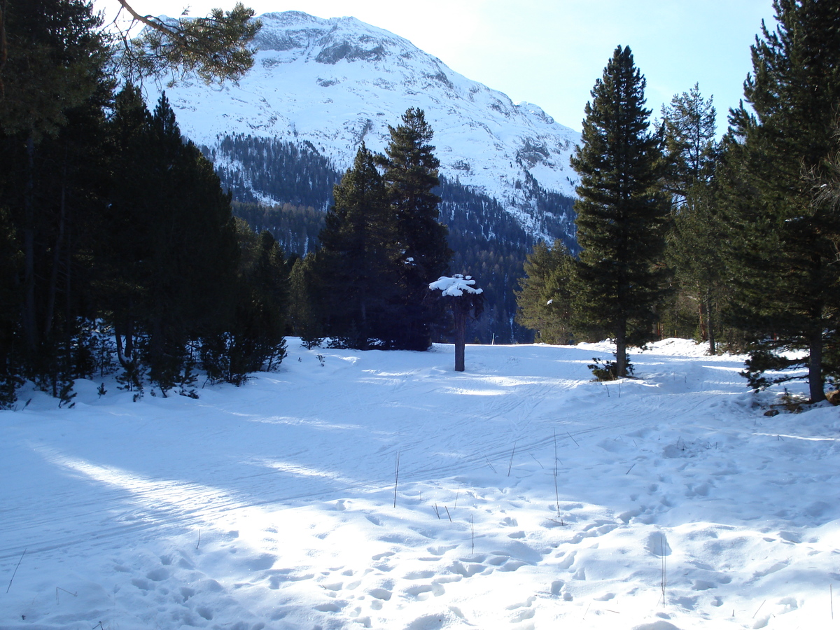 รูปถ่าย สวิสเซอร์แลนด์(Switzerland) เซนต์มอริตซ์ ชลาริญญา(St Moritz Schlarigna) 2007-01 89