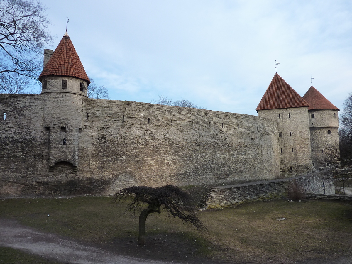 รูปถ่าย เอสโตเนีย(Estonia) ทาลลินน์(Tallinn) เมืองเก่าทาลลินน์(Old Tallinn) 2009-04 23