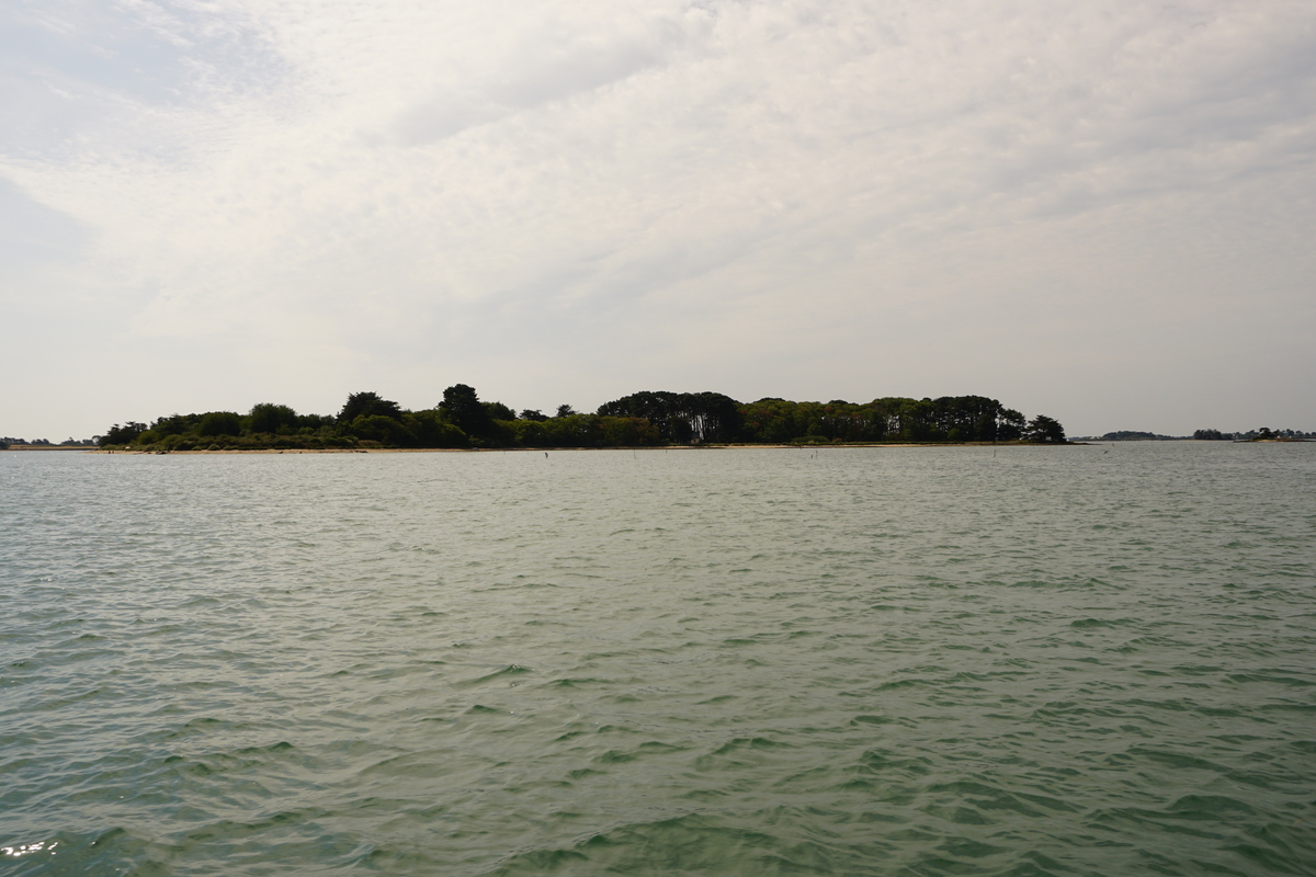 รูปถ่าย ฝรั่งเศส(France) อ่าวมอร์บีอ็อง(Golfe du Morbihan) 2016-08 51