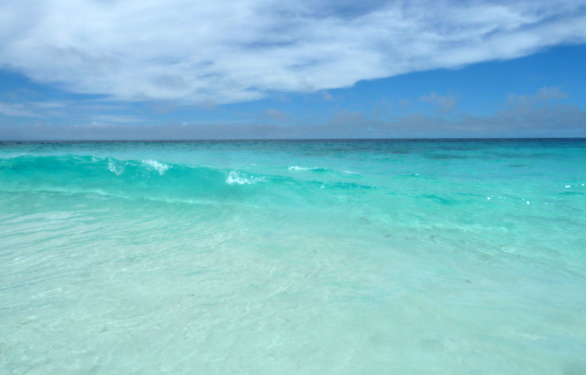 รูปถ่าย เซเชลส์(Seychelles) เกาะกร็องด์เซอร์(Grande Soeur) 2011-10 6