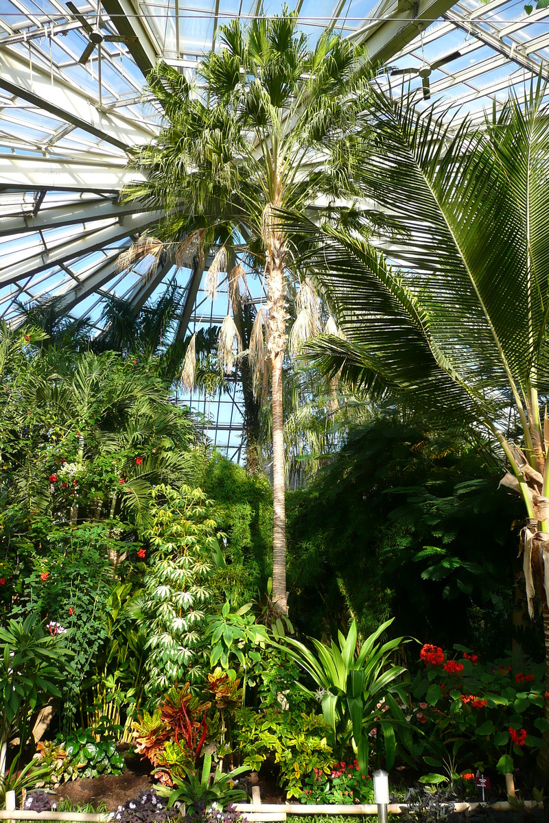 รูปถ่าย ฝรั่งเศส(France) นีส(Nice) สวนฟีนิกซ์(Phoenix Parc) 2007-10 71