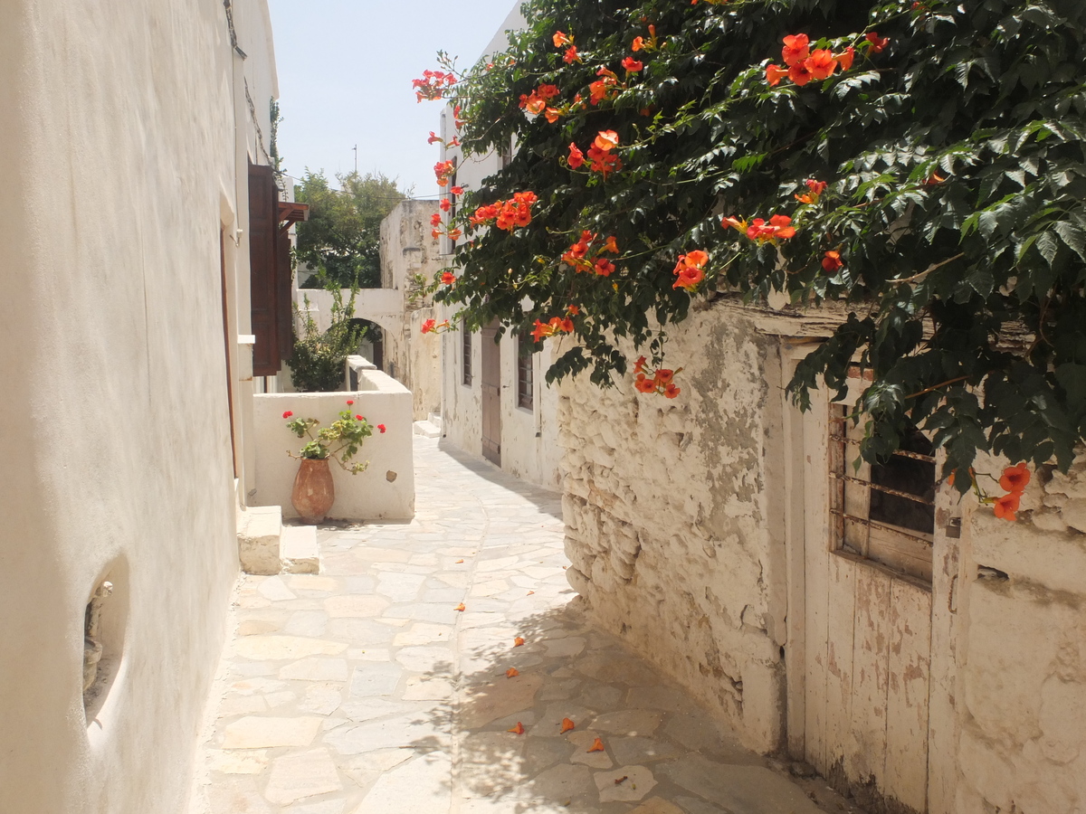รูปถ่าย กรีก(Greece) เกาะนักซอส(Naxos) 2014-07 31