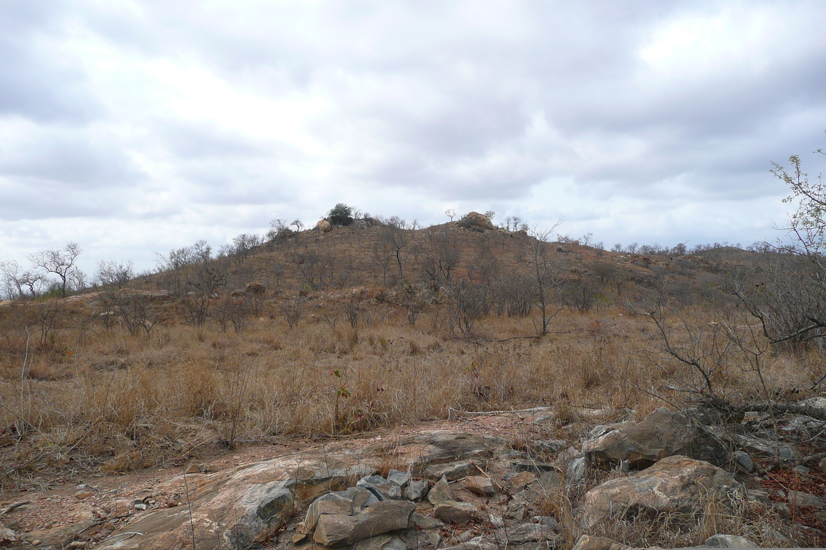 รูปถ่าย แอฟริกาใต้(South Africa) อุทยานแห่งชาติครูเกอร์(Kruger National Park) 2008-09 154