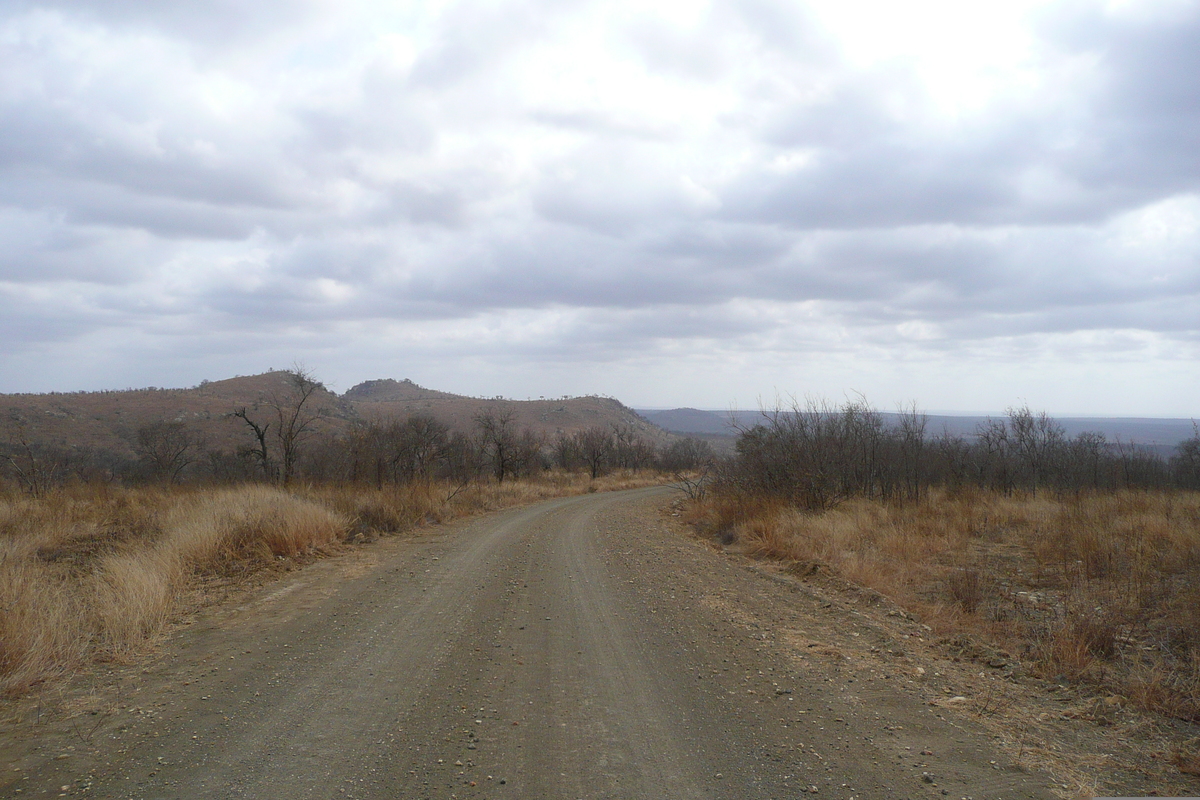 รูปถ่าย แอฟริกาใต้(South Africa) อุทยานแห่งชาติครูเกอร์(Kruger National Park) 2008-09 124