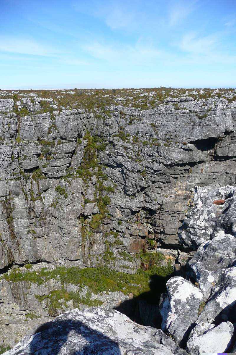 รูปถ่าย แอฟริกาใต้(South Africa) เคปทาวน์(Cape Town) ภูเขาเทเบิล(Table Mountain) 2008-09 103