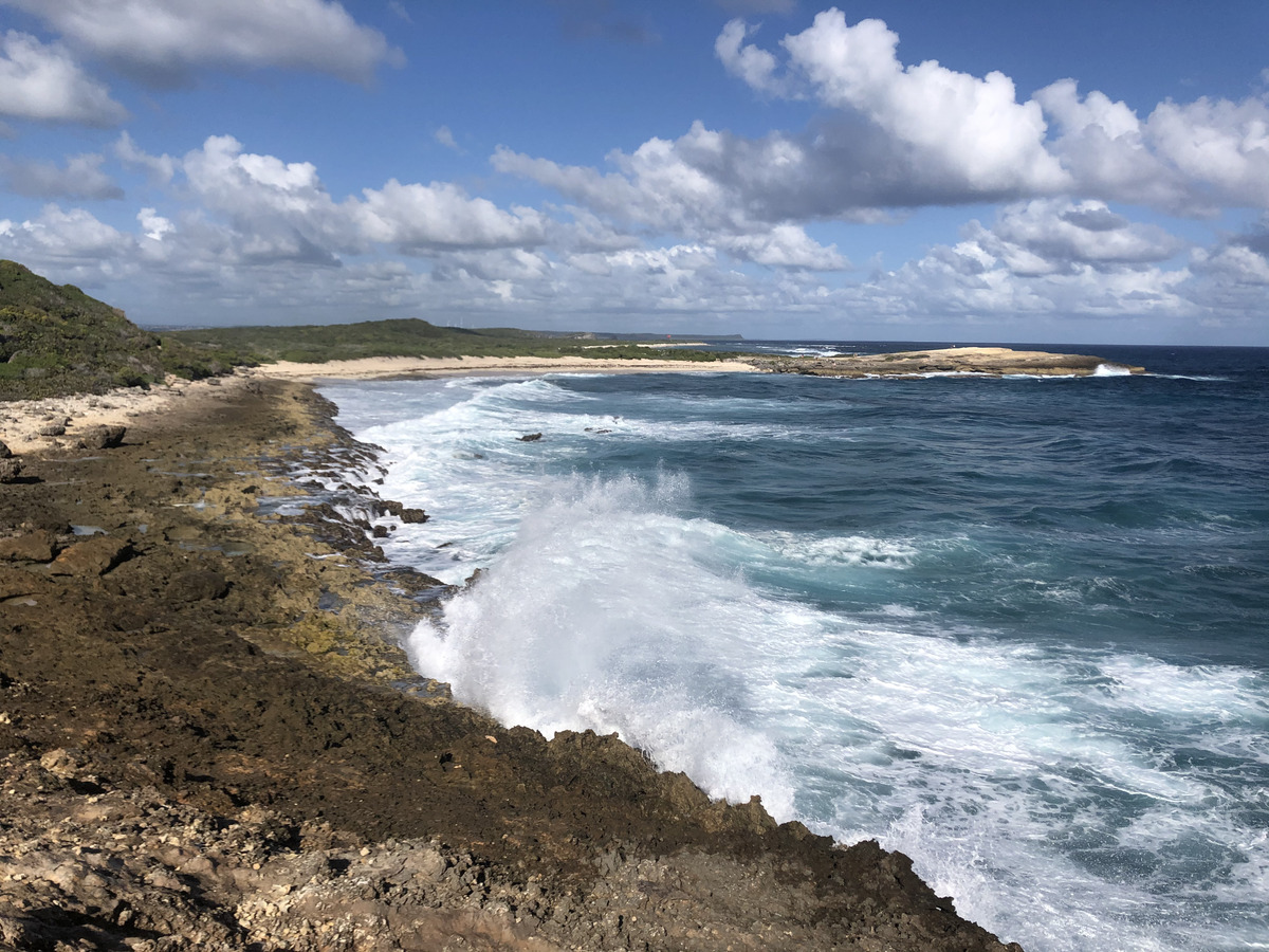 รูปถ่าย กวาเดอลูป(Guadeloupe) แหลมคาสเซิลพอยต์(Castle Point) 2021-02 32