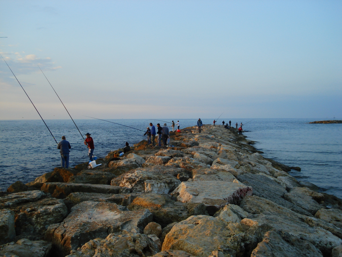 รูปถ่าย อิสราเอล(Israel) เทลอาวีฟ(Tel Aviv) ชายหาดเทลอาวีฟ(Tel Aviv Sea Shore) 2006-12 114
