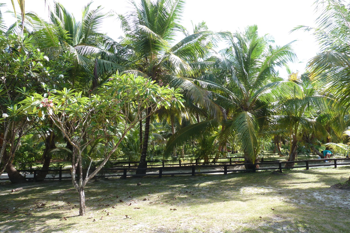 รูปถ่าย เซเชลส์(Seychelles) อ่าวอ็องส์ลาซิโอ(Anse Lazio) 2011-10 13