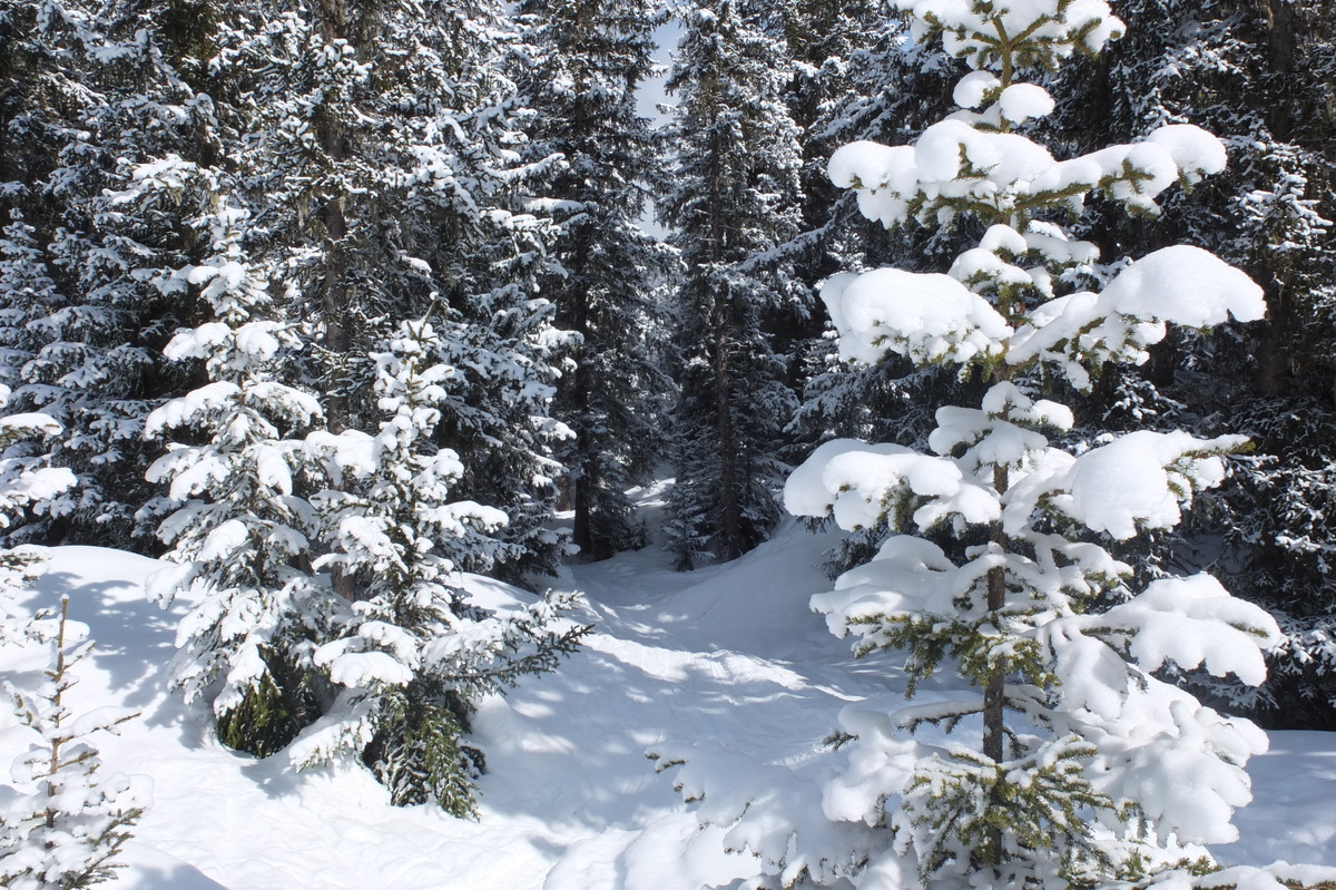 รูปถ่าย ฝรั่งเศส(France) เลทรัววาเล(Les 3 Vallees) 2013-03 234
